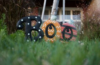 Poodle Sahiplenme: Sadık ve Zeki Bir Dost Edinmenin İpuçları evciilplatform2