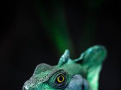 Dadaloğlu Kimdir? Hayatı, Eserleri ve Türk Edebiyatındaki Yeri dadaloglu turkish folk poetry dadaloglu s life and works