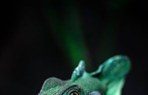 Dadaloğlu Kimdir? Hayatı, Eserleri ve Türk Edebiyatındaki Yeri dadaloglu turkish folk poetry dadaloglu s life and works